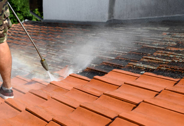 Pressure Washing Contractors in Creola, AL