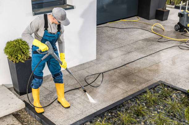 Best Roof Pressure Washing  in Creola, AL